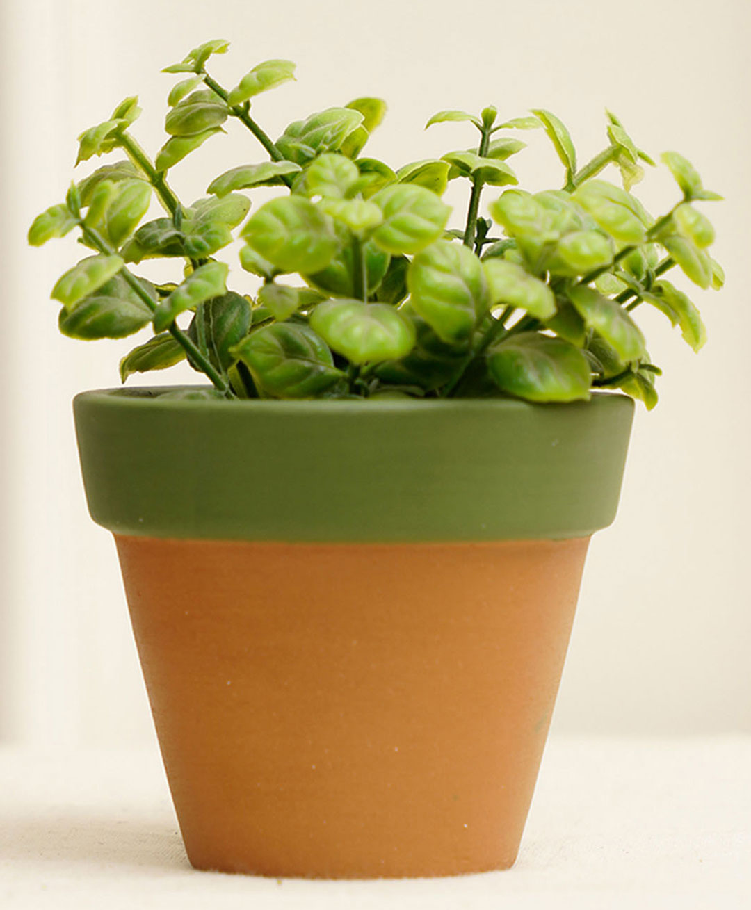Purezento Tiny Terracotta Planter - Green-image-20