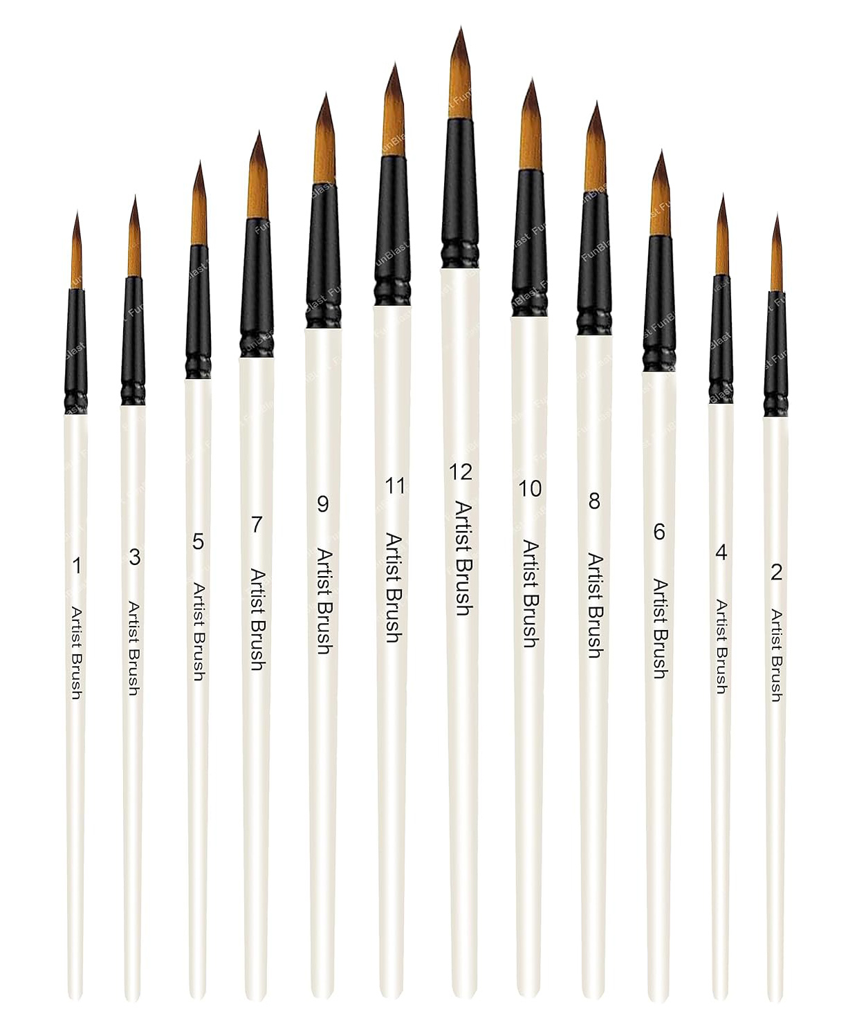 FunBlast Artist Paint Brush Set for Artist Professionals and Beginners - 12 Pieces-image-3