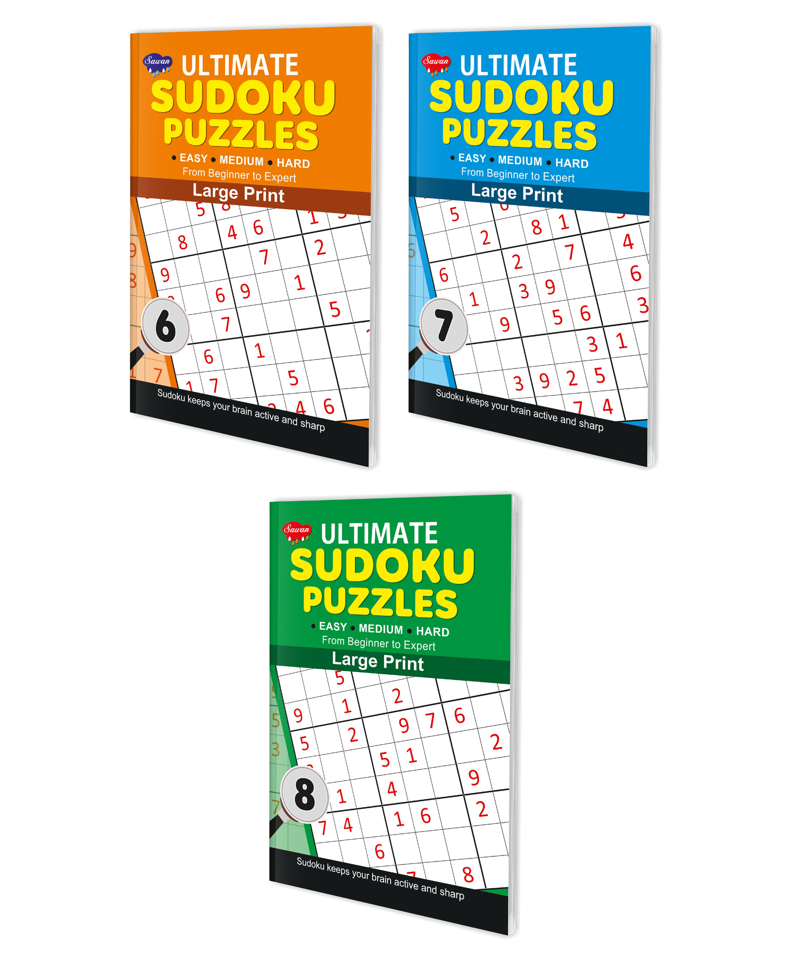 Sawan Present Set Of 3 Ultimate Sudoku Puzzles From Beginner to Expert  Easy Medium Hard 6 To 8  Large Print with Answers-picture-28
