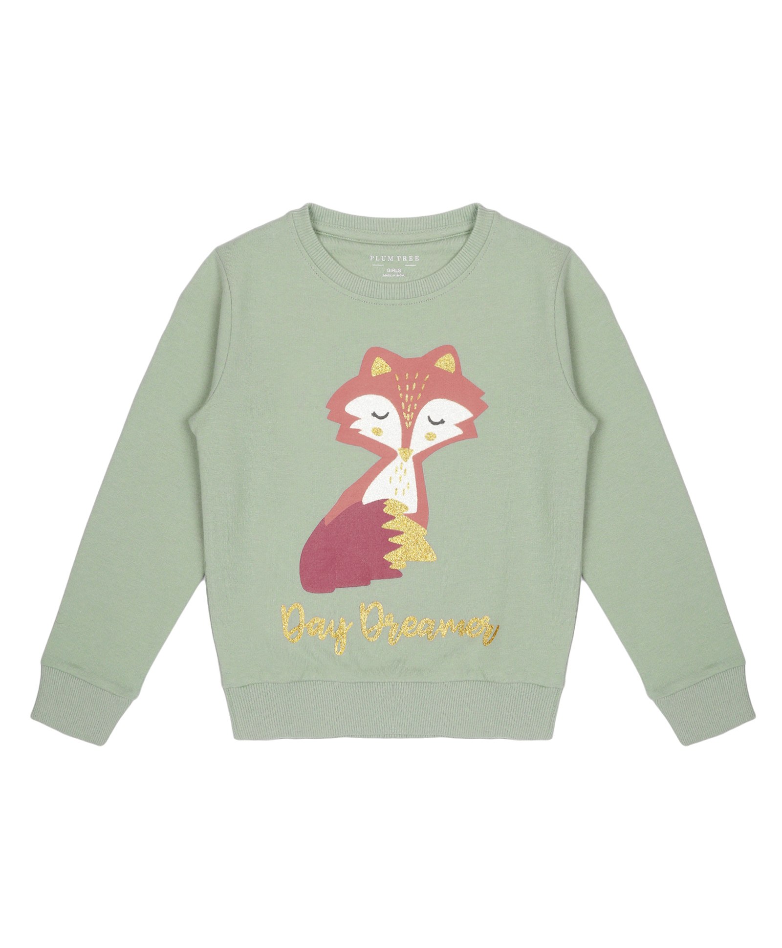 Plum Tree Full Sleeves Fox Printed Glitter Embellished       Pullover Sweatshirt - Blue-picture-33
