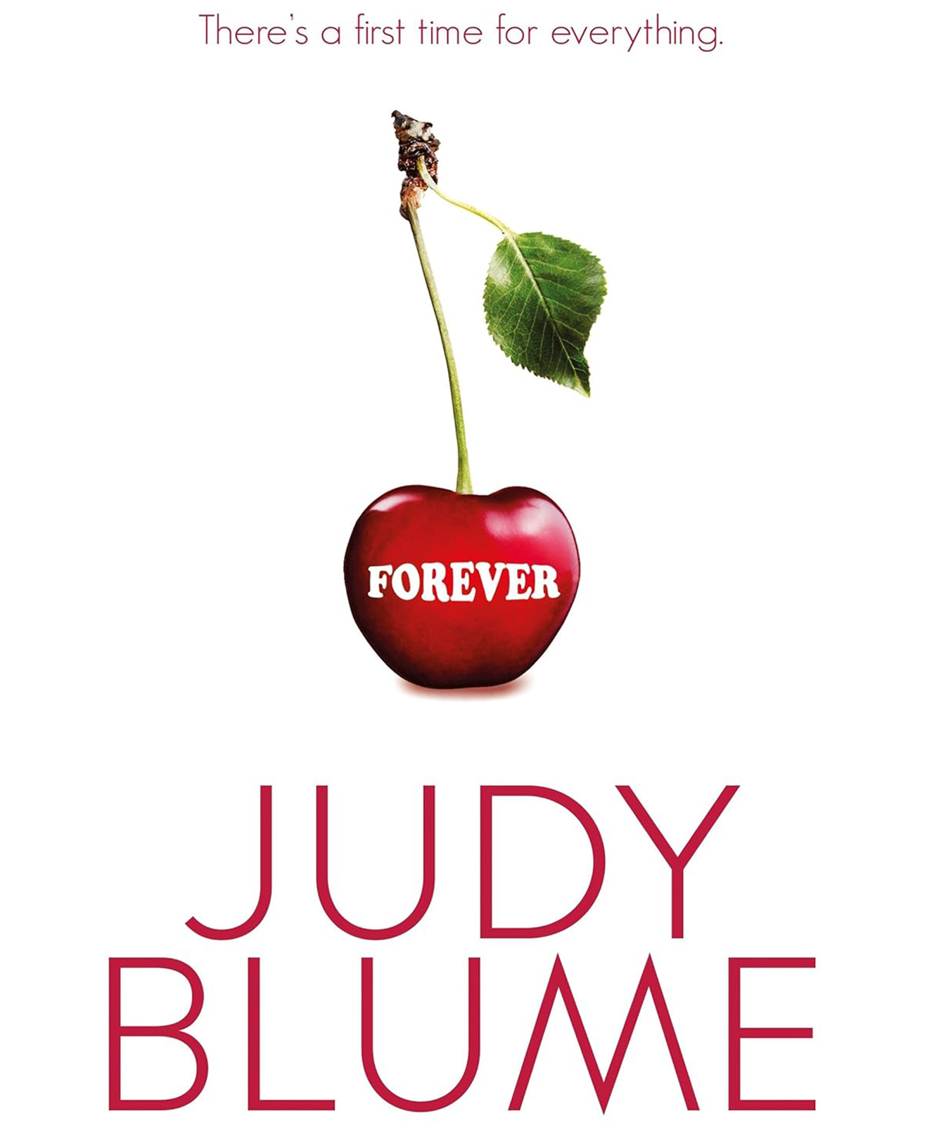 pan macmillan india Forever Story Book By Judy Blume - English-picture-21