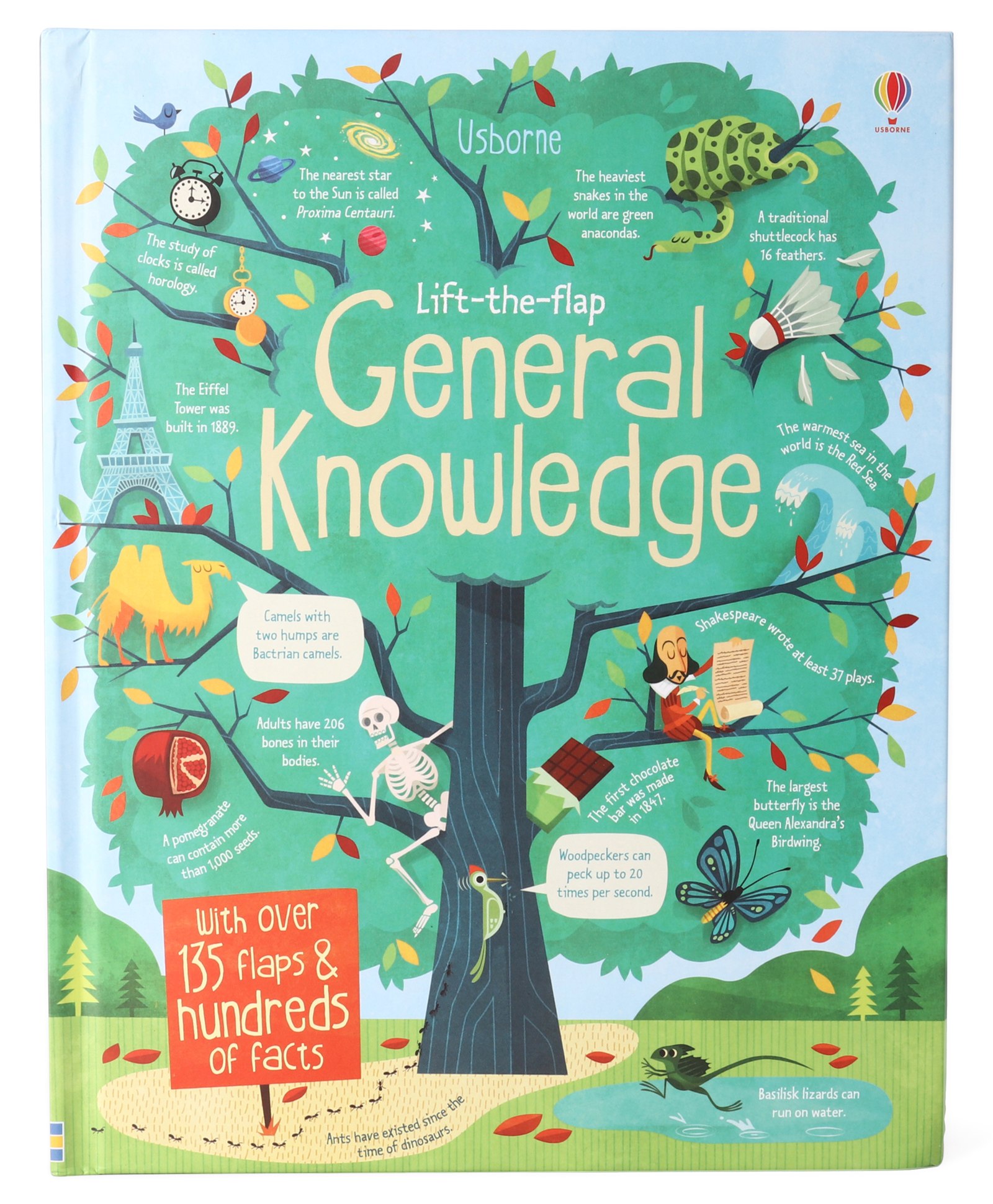 Usborne Lift The Flap General Knowledge By Alex Frith - English