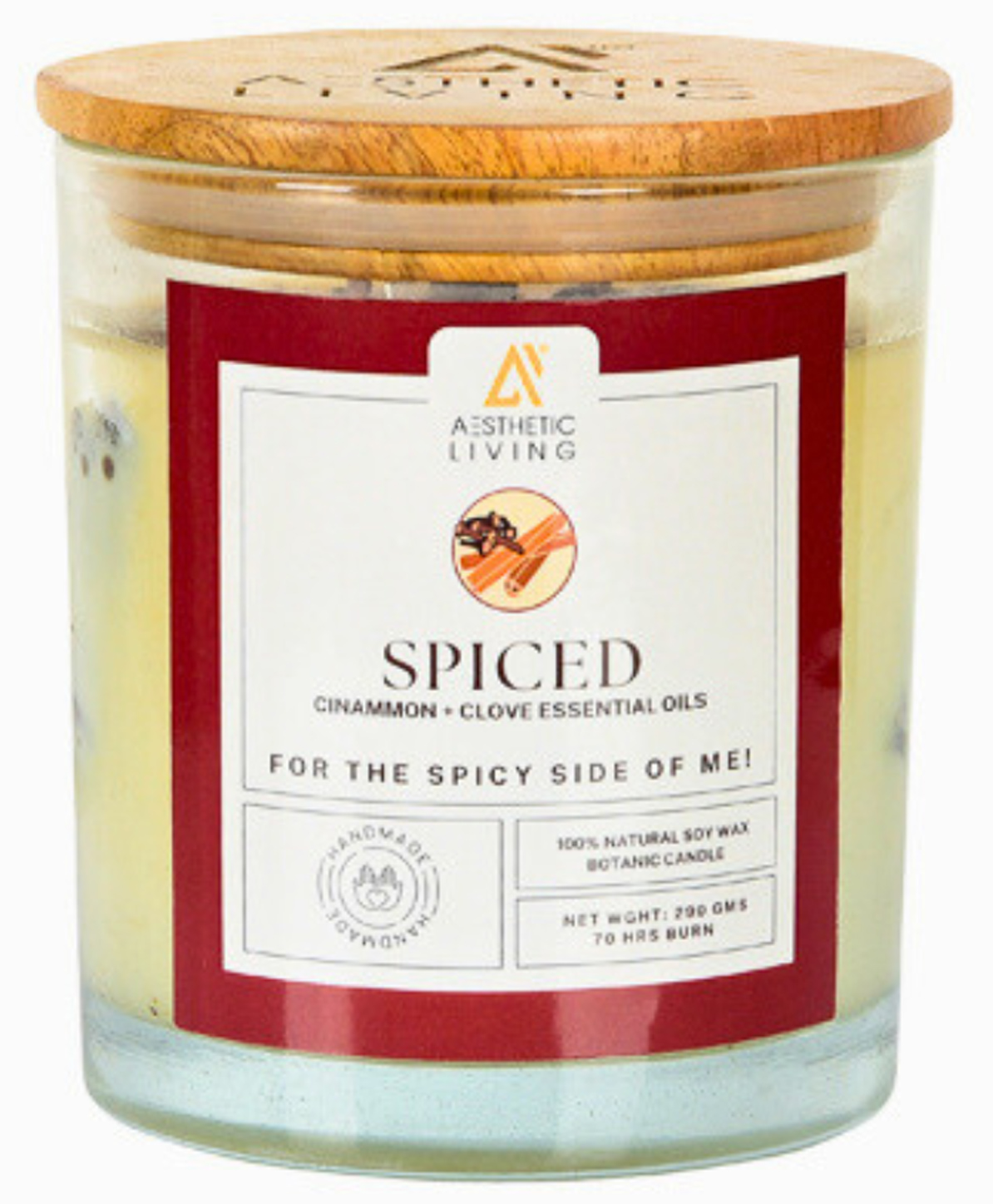 Aesthetic Living- Spiced Botanic Candle 300 g-image-35