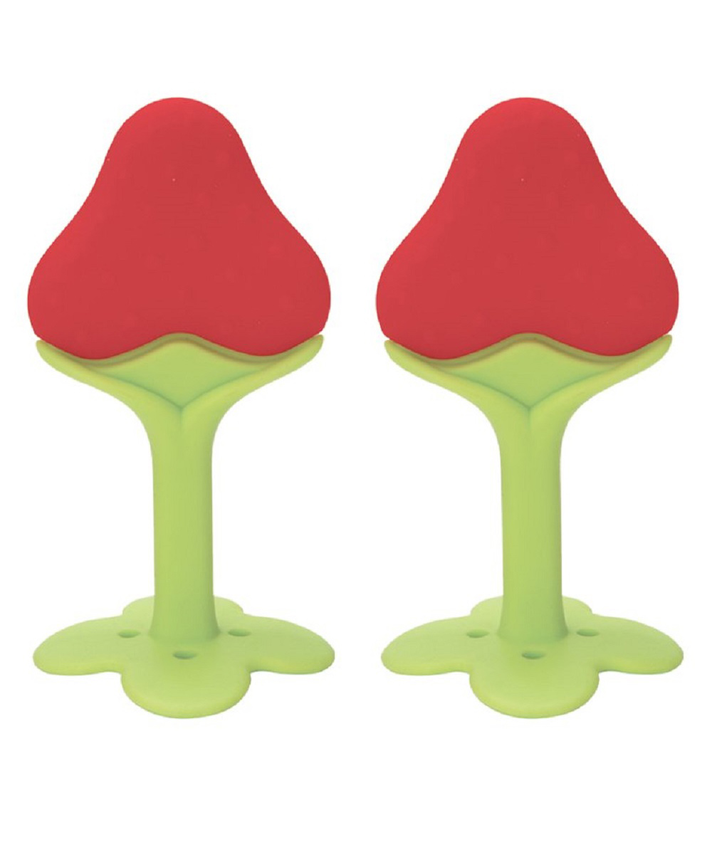 NeonateCare Multi-Textured Fruit Teether Red & Green Pack of 2( Color May vary)( Color and design may vary)-picture-20