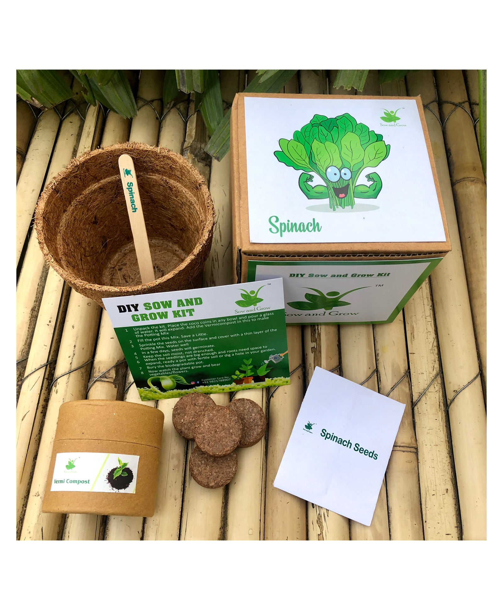 sow & grow Sow and Grow DIY Gardening Kit - Spinach-picture-18