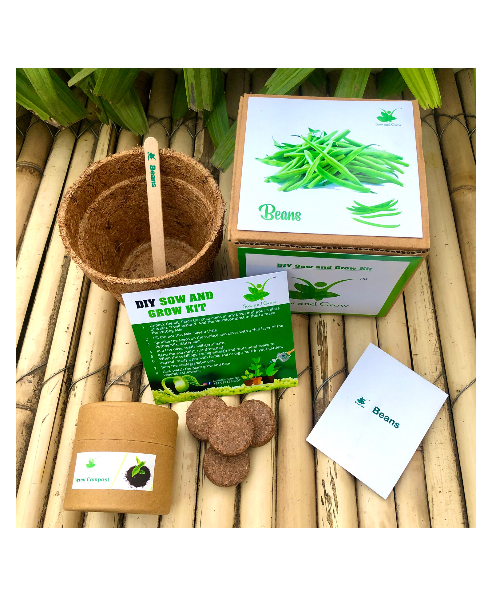 sow & grow Sow and Grow DIY Gardening Kit - Beans-picture-28