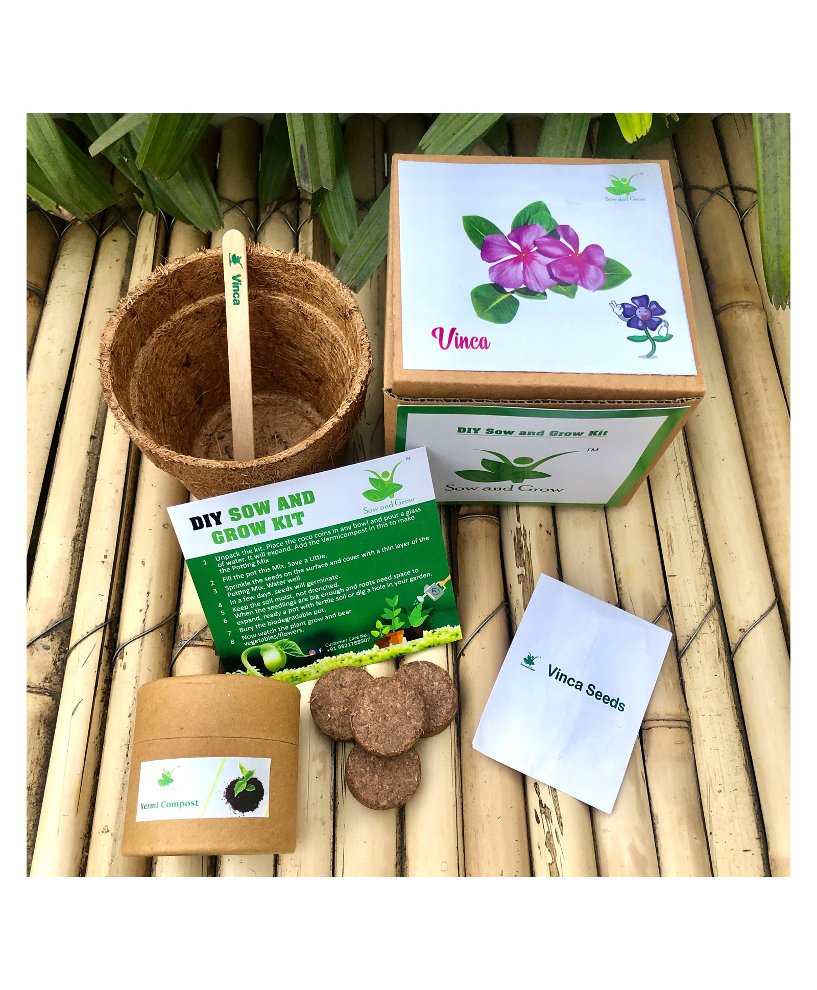 Sow and Grow DIY Gardening Kit - Vinca-image-46