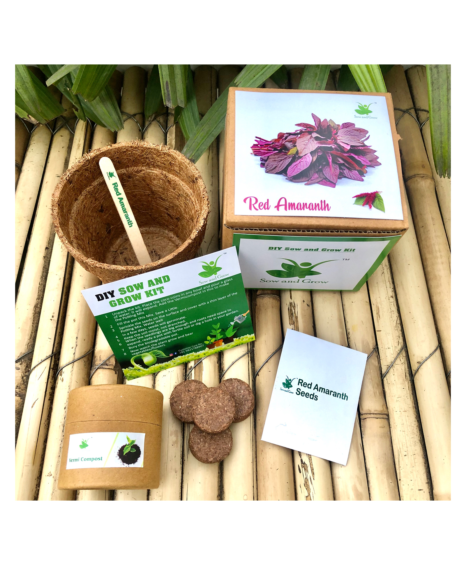 sow & grow Sow and Grow DIY Gardening Kit - Red Amaranth-picture-10