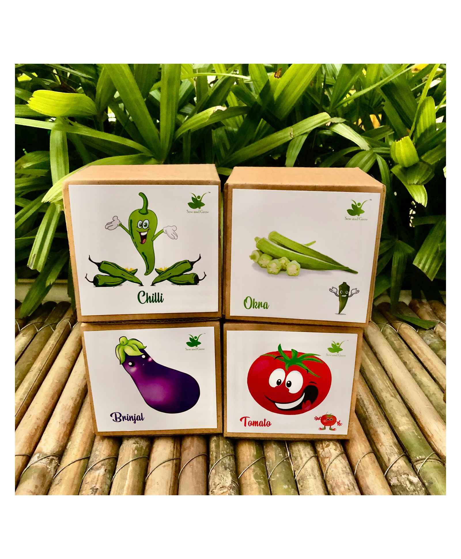 Sow and Grow DIY Gardening 4 Vegetable Kits - Brinjal, Okra, Chilli and Tomato-image-35