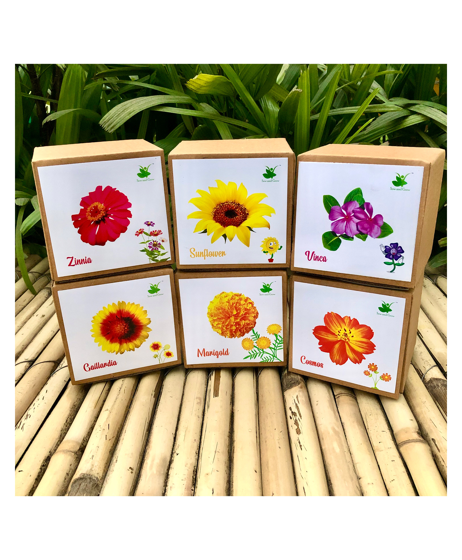 Sow and Grow DIY Gardening 6 Flower Kits Combo - Marigold , Sunflower, Cosmos, Vinca, Gaillardia, and Zinnia-image-36