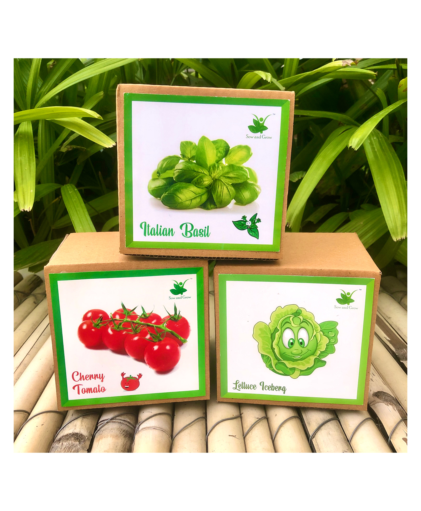 Sow and Grow DIY Gardening 3 Exotic Seed Starter Kits - Cherry Tomato, Italian Basil and Lettuce Iceberg-image-35