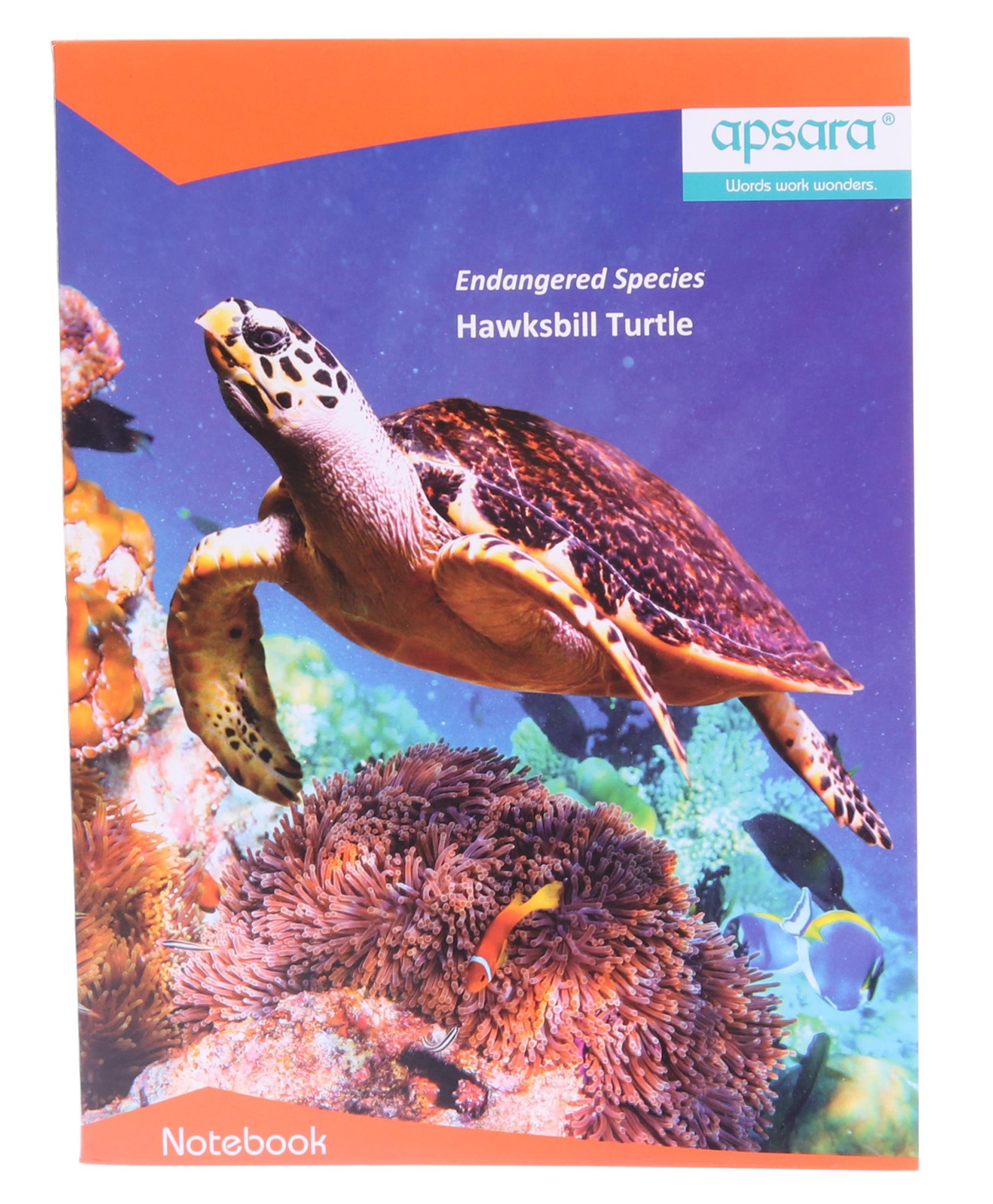 Apsara Kingsize Notebook Single Line -172 Pages (Color and Print May Vary)-image-5
