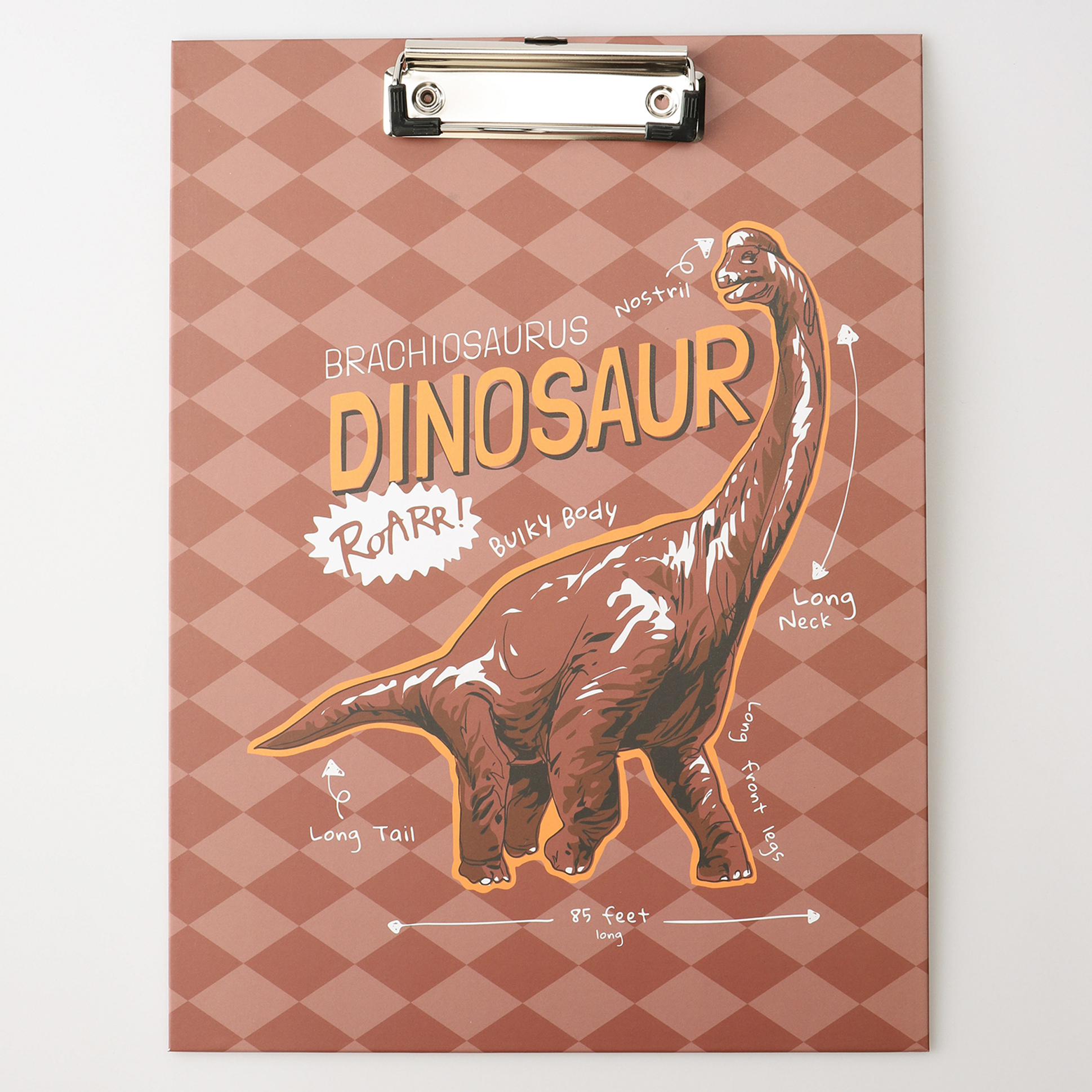 fab n funky Exam Boards Dinosaur Print- Brown-picture-12