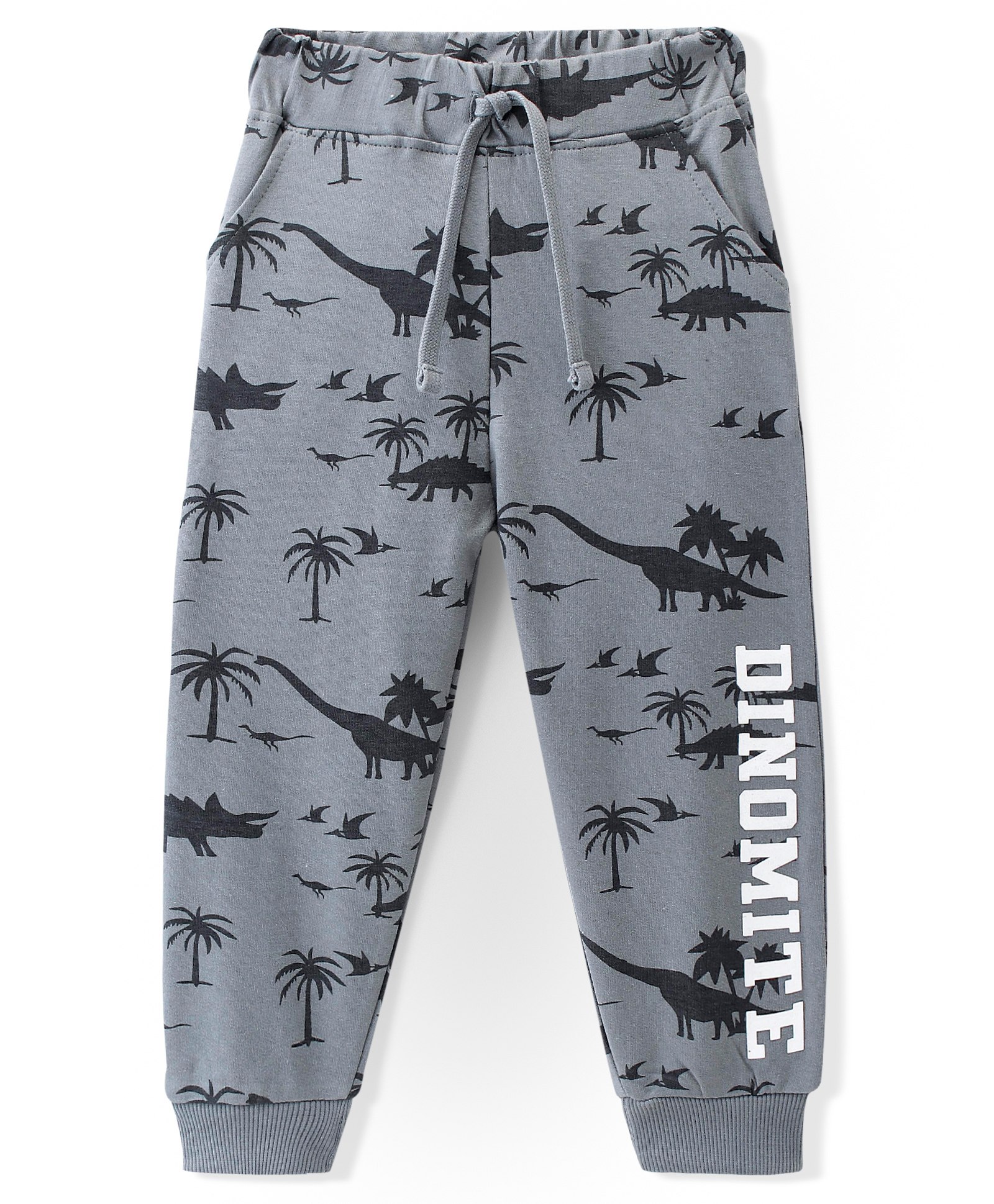 Babyhug Cotton Looper Knit Full Length Lounge Pant Dino Print - Grey-picture-24