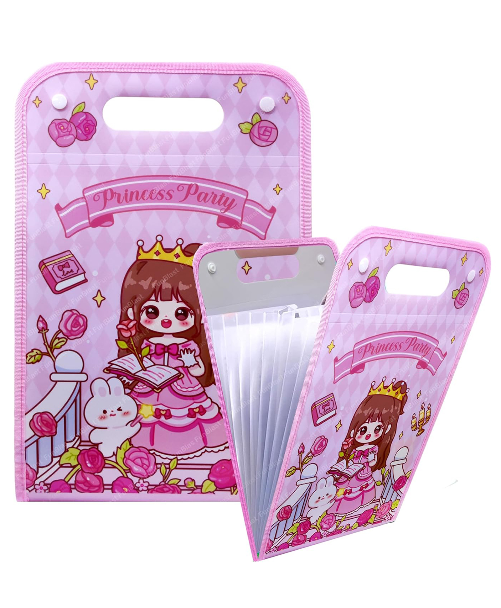 FunBlast Princess Theme File Folder with Button Lock and Handle-picture-45