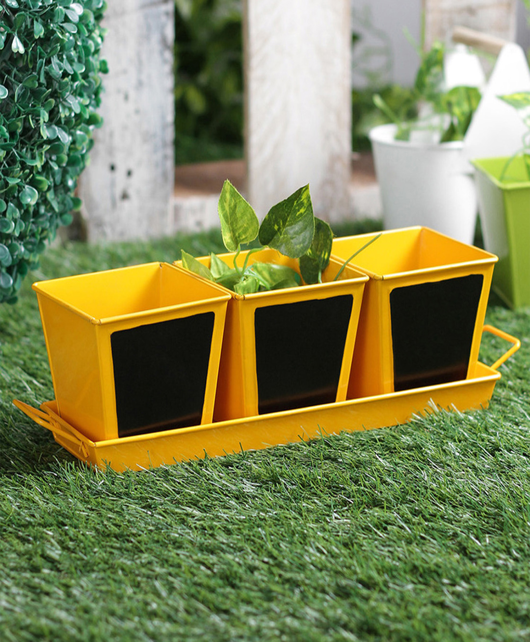 Green Girgit Set of three Chalk Board Painted Herb Pots Yellow-picture-22