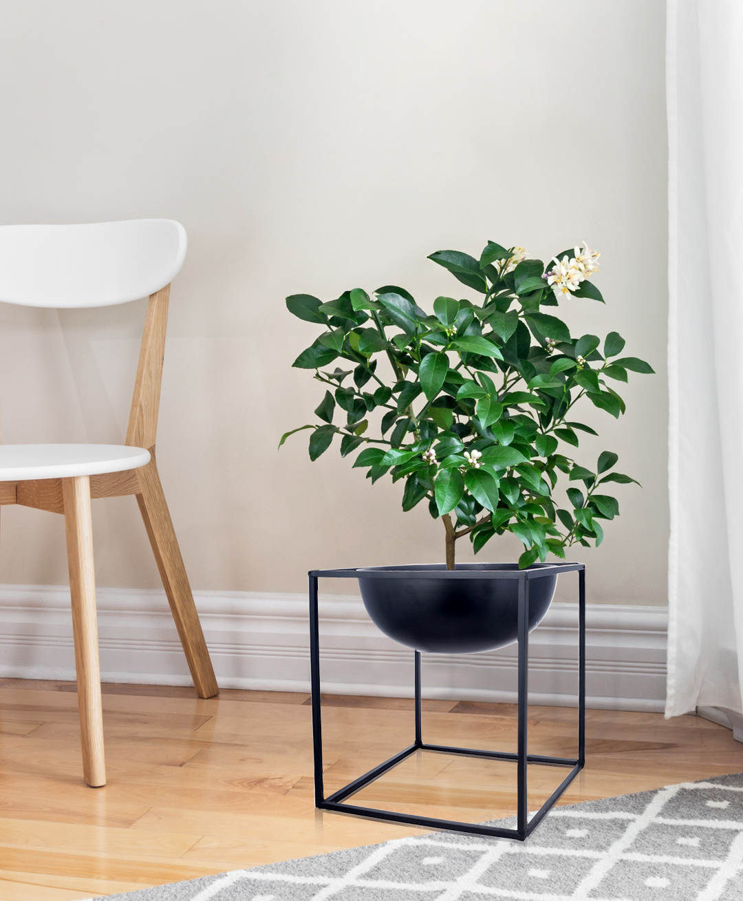 Green Girgit Half Dome Black Planter Stand-image-1