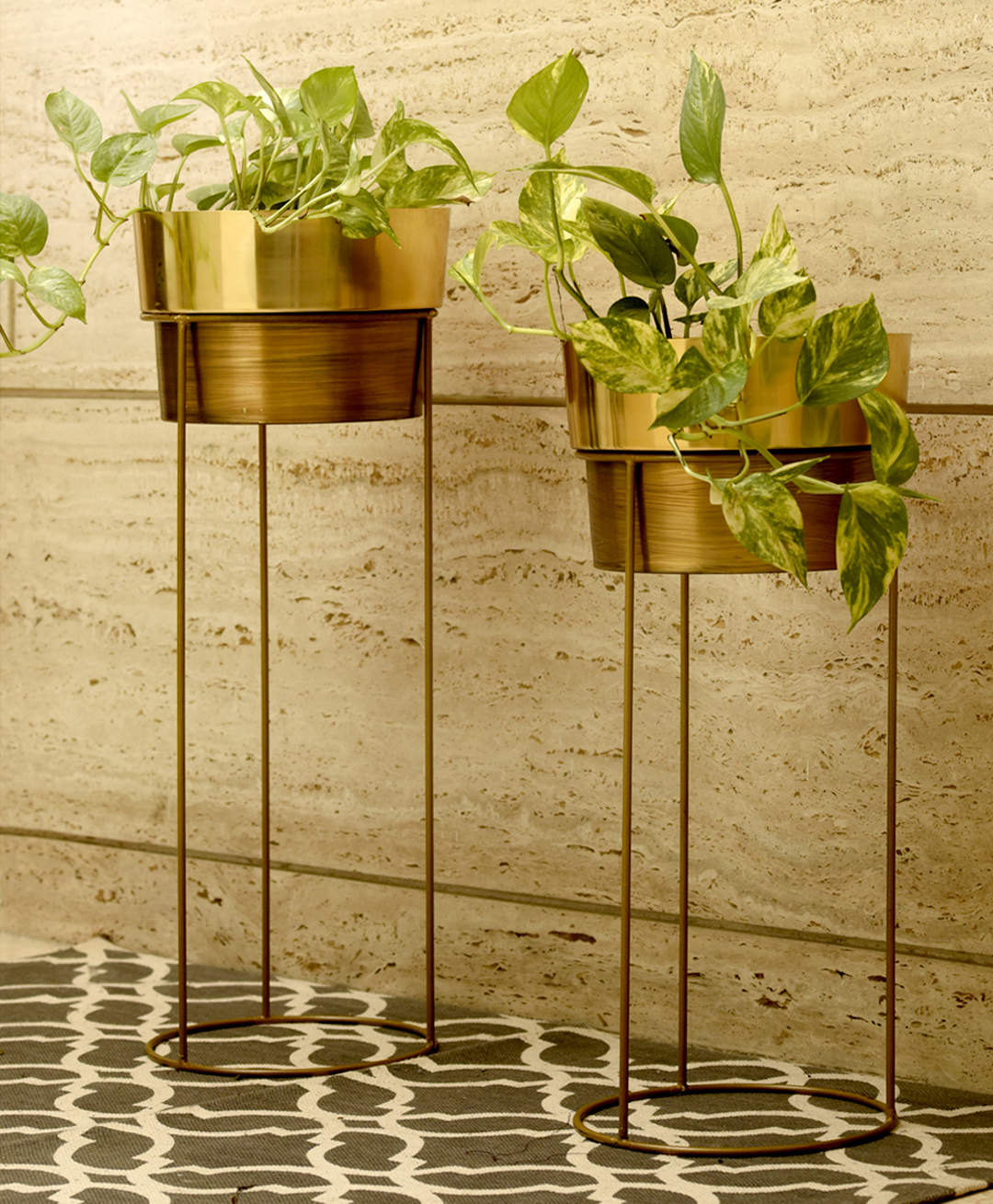 Green Girgit  Golden Planters - Set of Two-picture-18