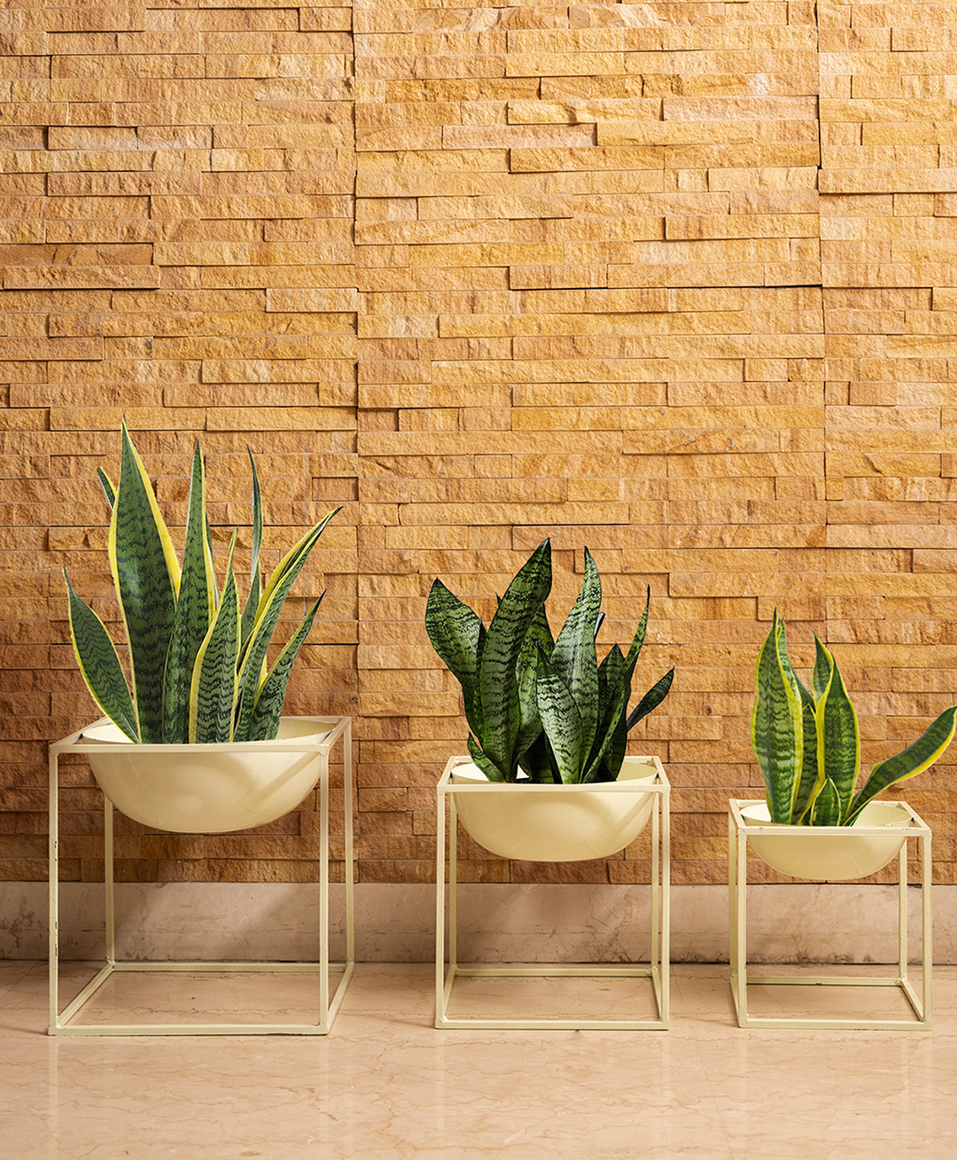 Green Girgit White Dome Square planter stands - Set of Three-picture-20
