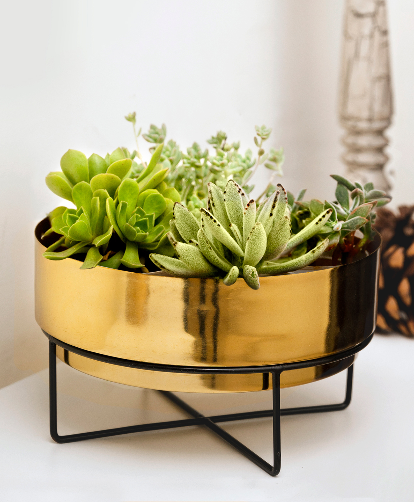 Green Girgit Golden Planter Pot with Black Metal Stand-picture-21