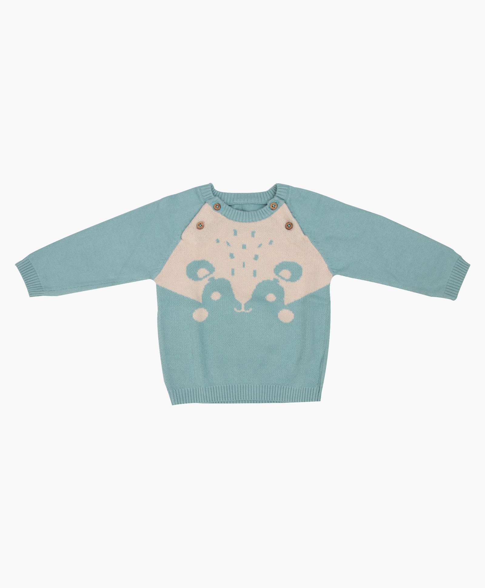 A Toddler Thing Full Sleeves Hamster Designed Sweater - Blue-picture-12
