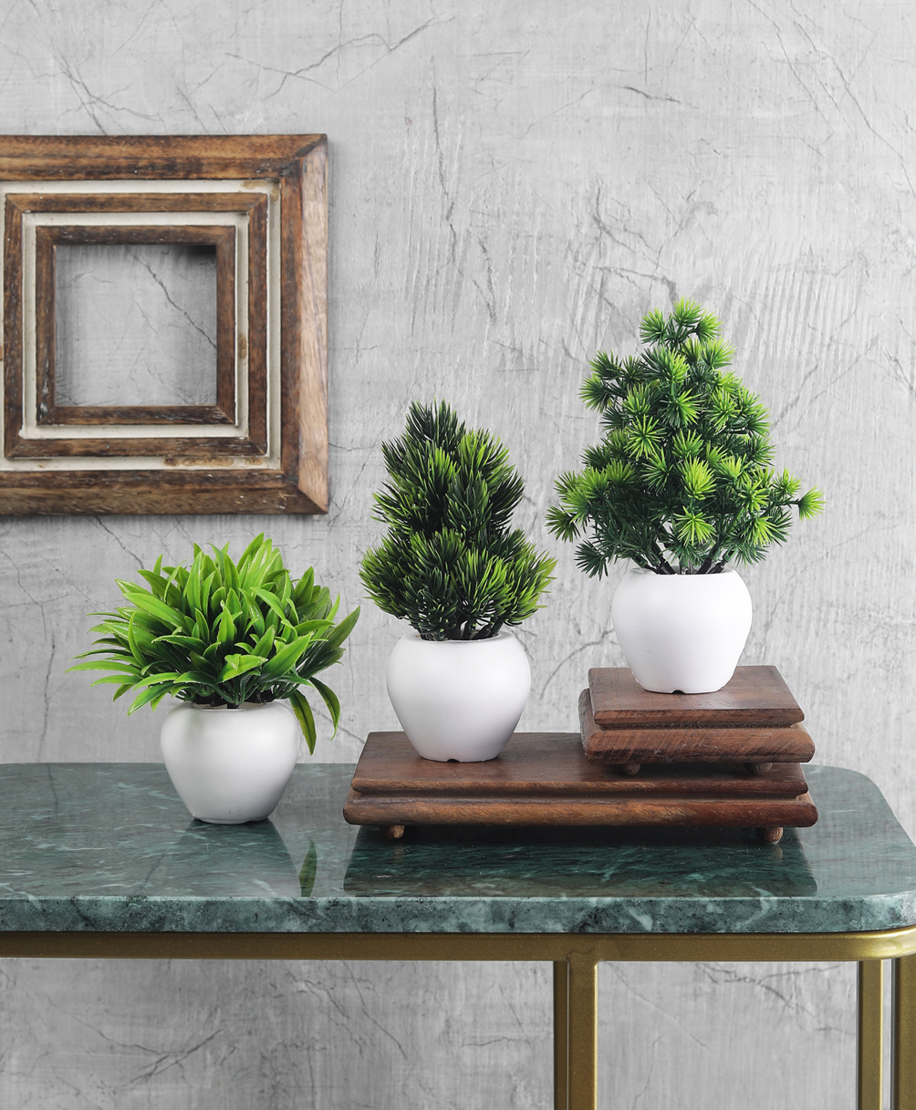Foliyaj Artificial Mini Green Plants with White Apple Shaped Pots - Combo of 3-picture-25