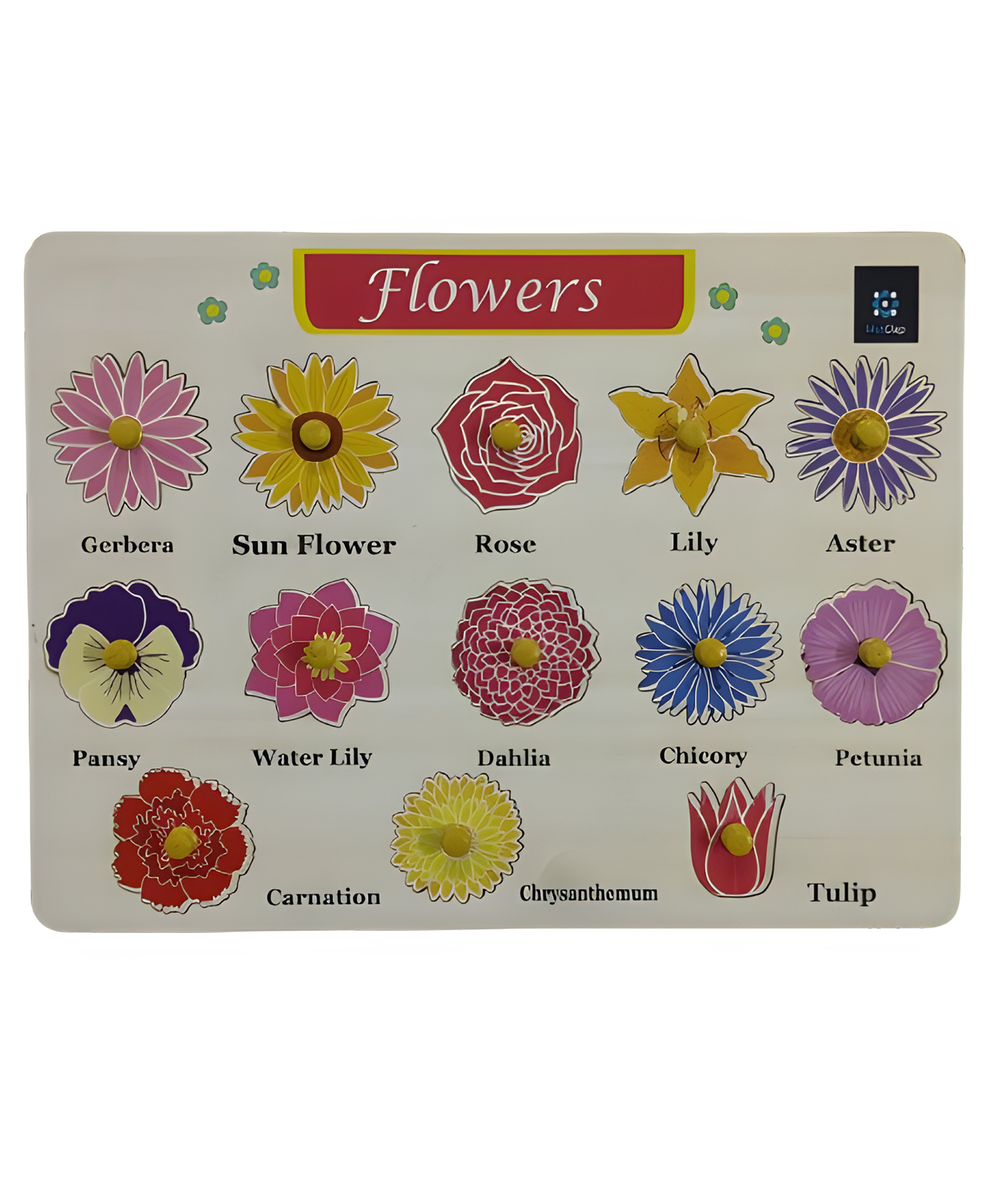 MetClap Flowers Tray 13 pcs-picture-5