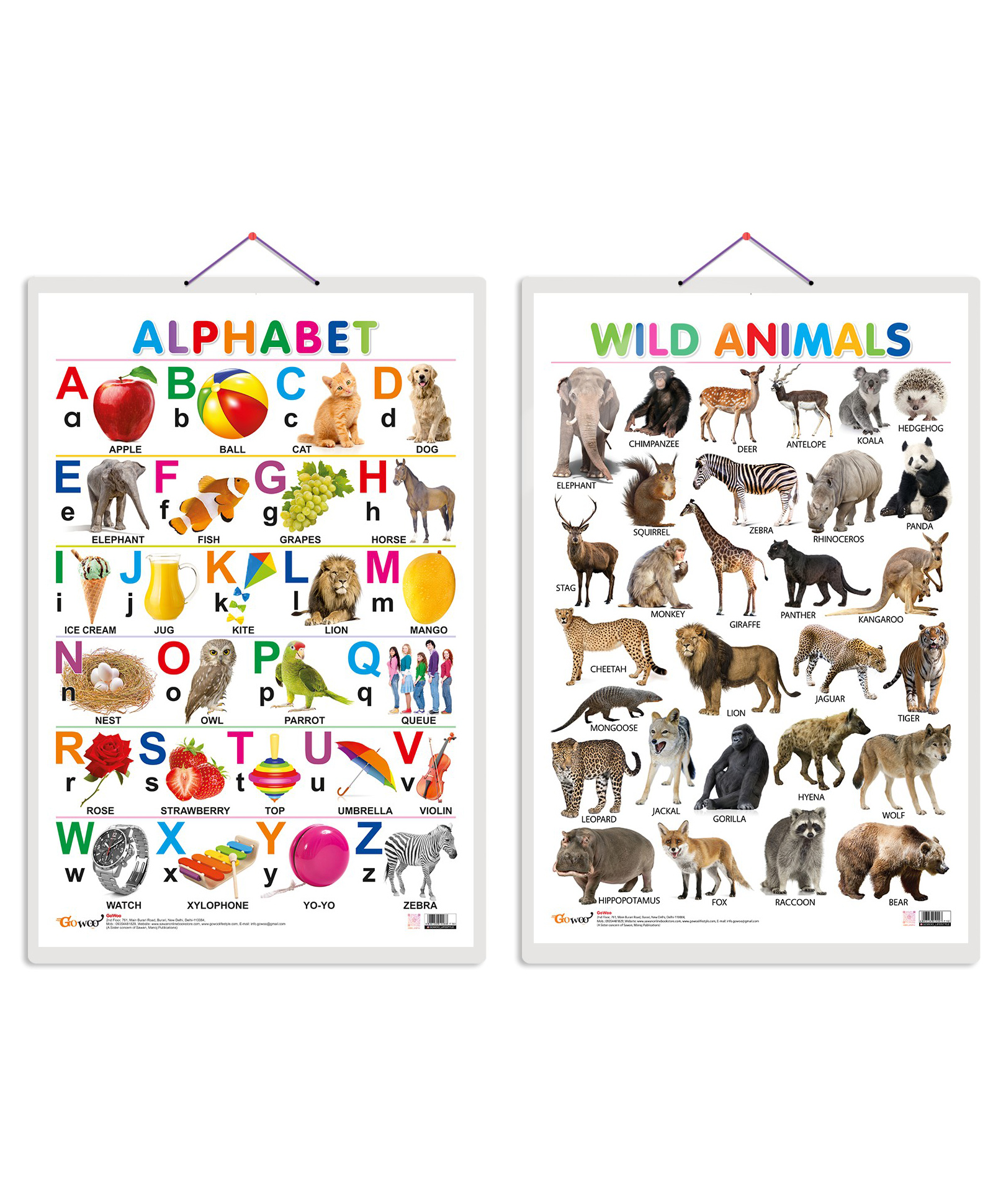 Alphabet and Wild Animals Early Learning Educational Charts - English-image-43