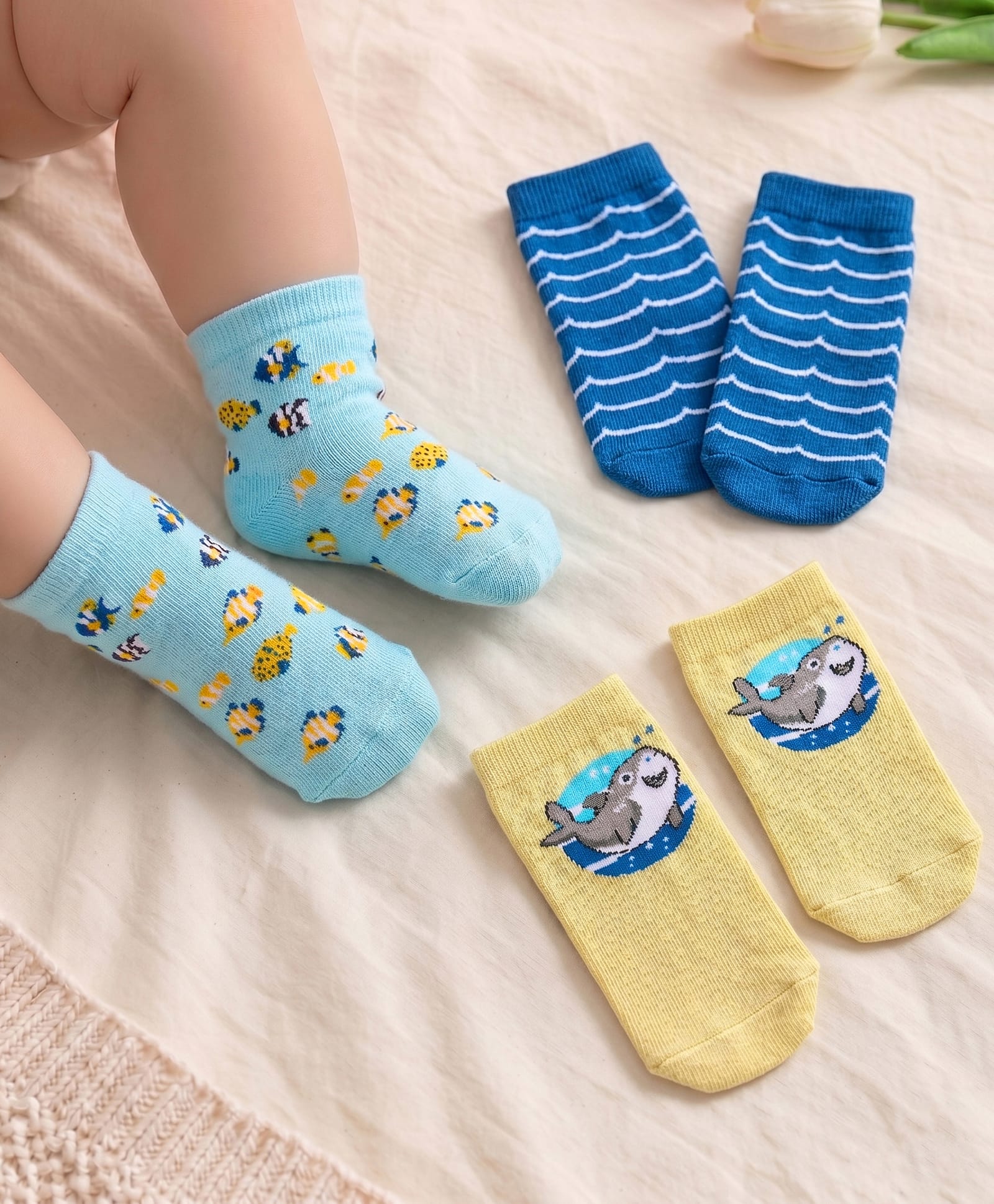 Cute Walk by Babyhug Anti Bacterial Ankle Length Socks Shark Design Pack Of 3 - Multicolour-picture-25