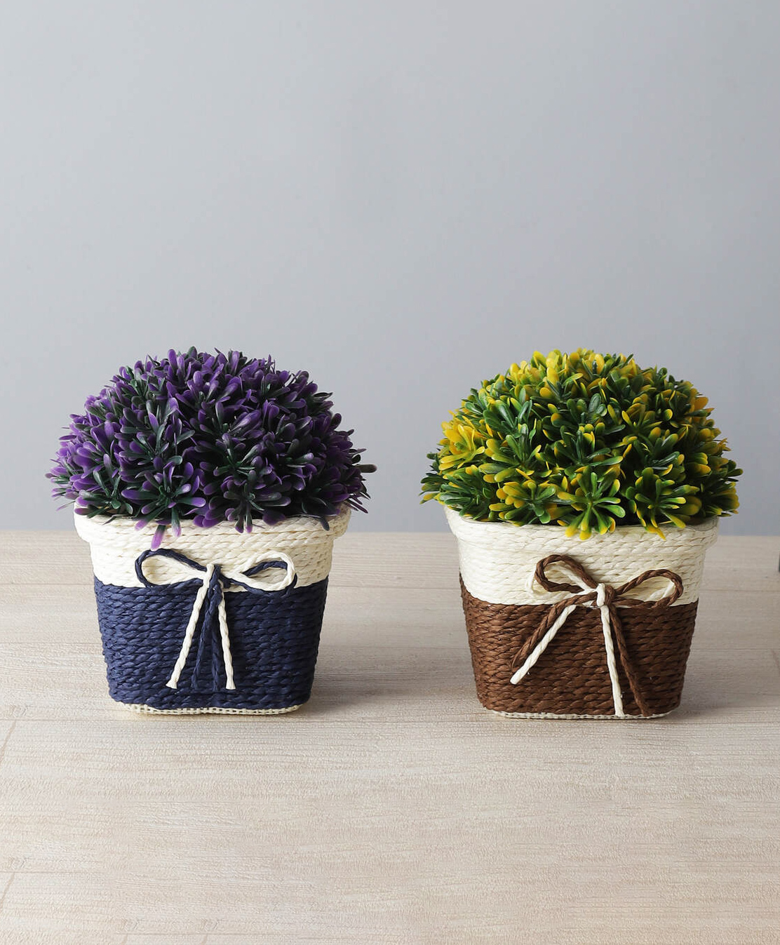 Foliyaj Combo of 2 Artificial Plants with Greenish Yellow and Purple Leaves with Pots-image-20