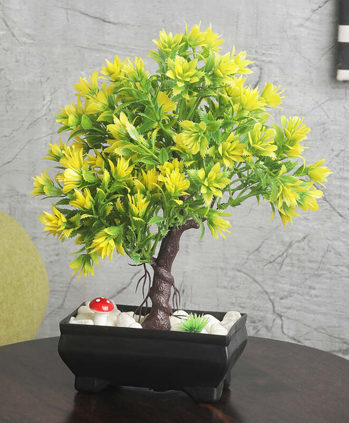 Foliyaj 3 Branched Bonsai Tree with Greenish Yellow Leaves-image-38