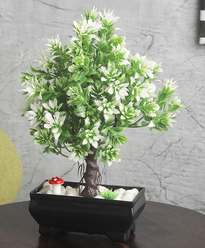 Foliyaj 3 Branched Bonsai Tree with Greenish White Leaves-image-6
