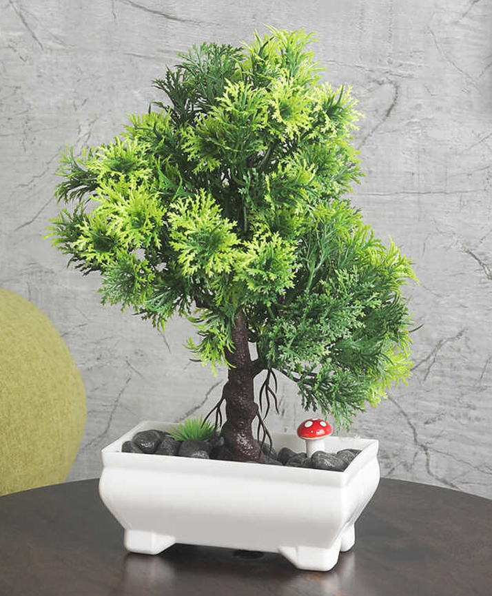 Foliyaj 3 Branched Bonsai Tree with Thick Green Leaves-image-34