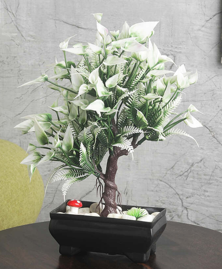 Foliyaj 3 Branched Bonsai Tree with Large Greenish White Leaves and Flowers-image-7