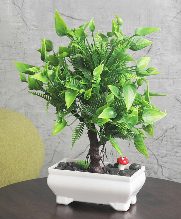 Foliyaj 3 Branched Bonsai Tree with Large Green Leaves and Flowers-image-25