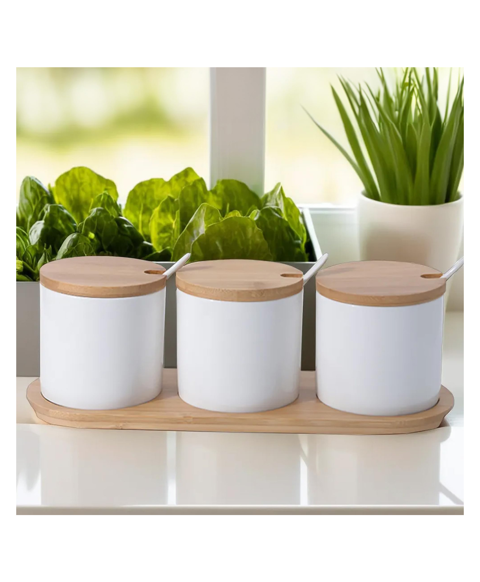 UMAI 3 pcs Ceramic canister set with wooden spoon |250ml | White | BK03WT-image-10