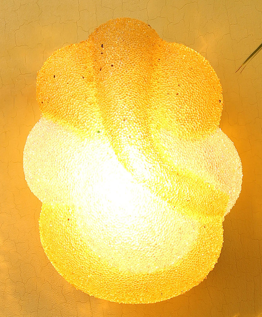 Devansh Multicolor Ganesh Ji Wall Mounted Lamp