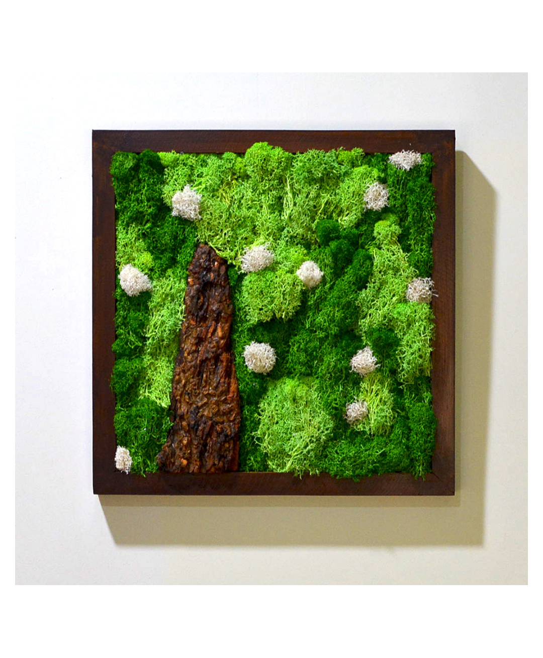 mybageecha A Lichen Bog Preserved Moss Frame with Dark Wood-picture-23