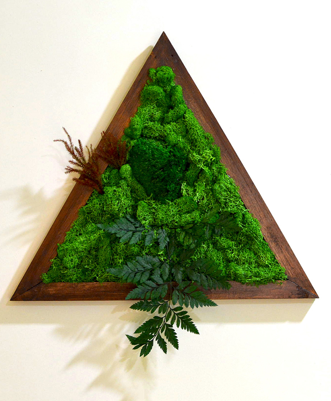 mybageecha Triad Wilderness Preserved Moss Frame with Dark Wood-picture-38