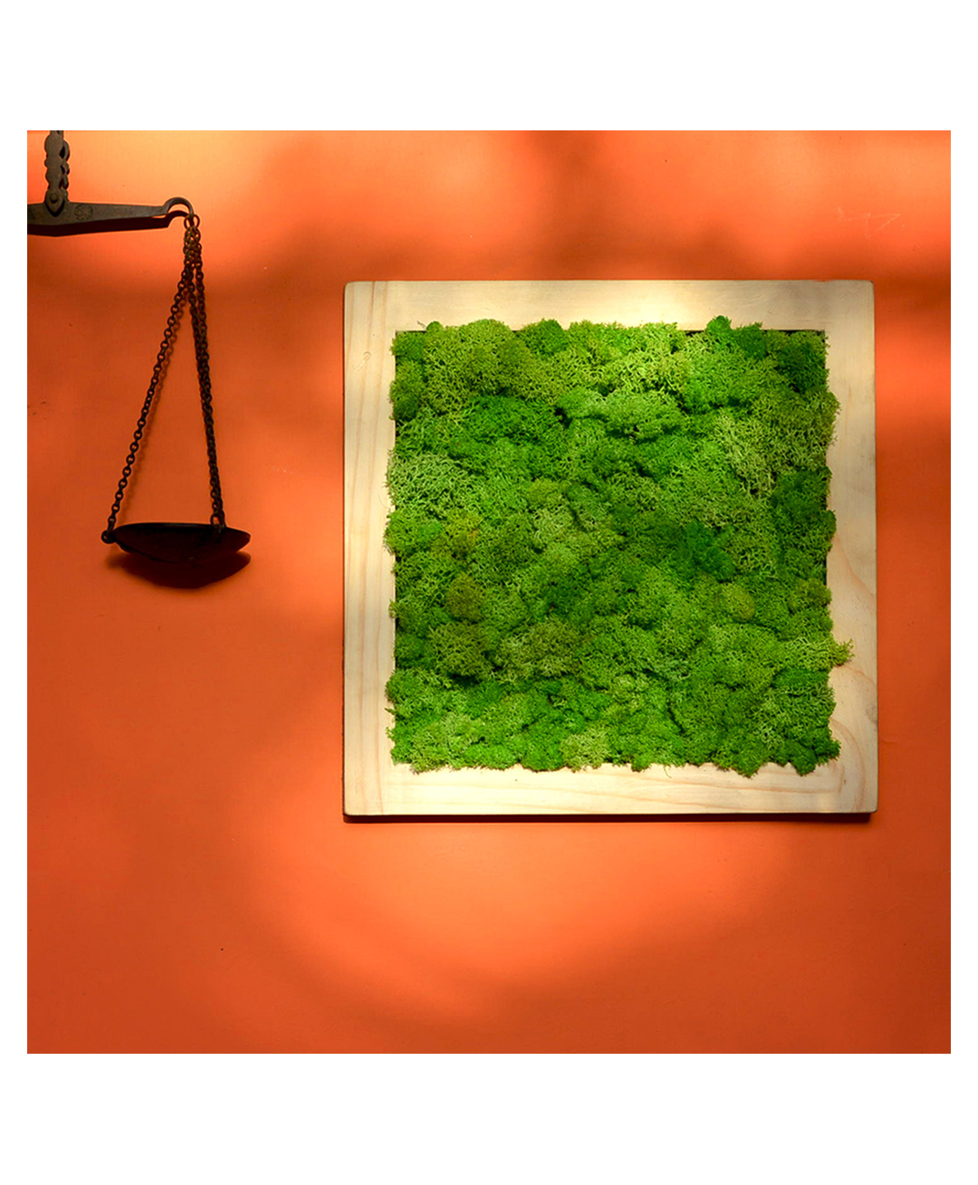 mybageecha Classic Green Preserved Moss Frame with Light Wood-picture-36