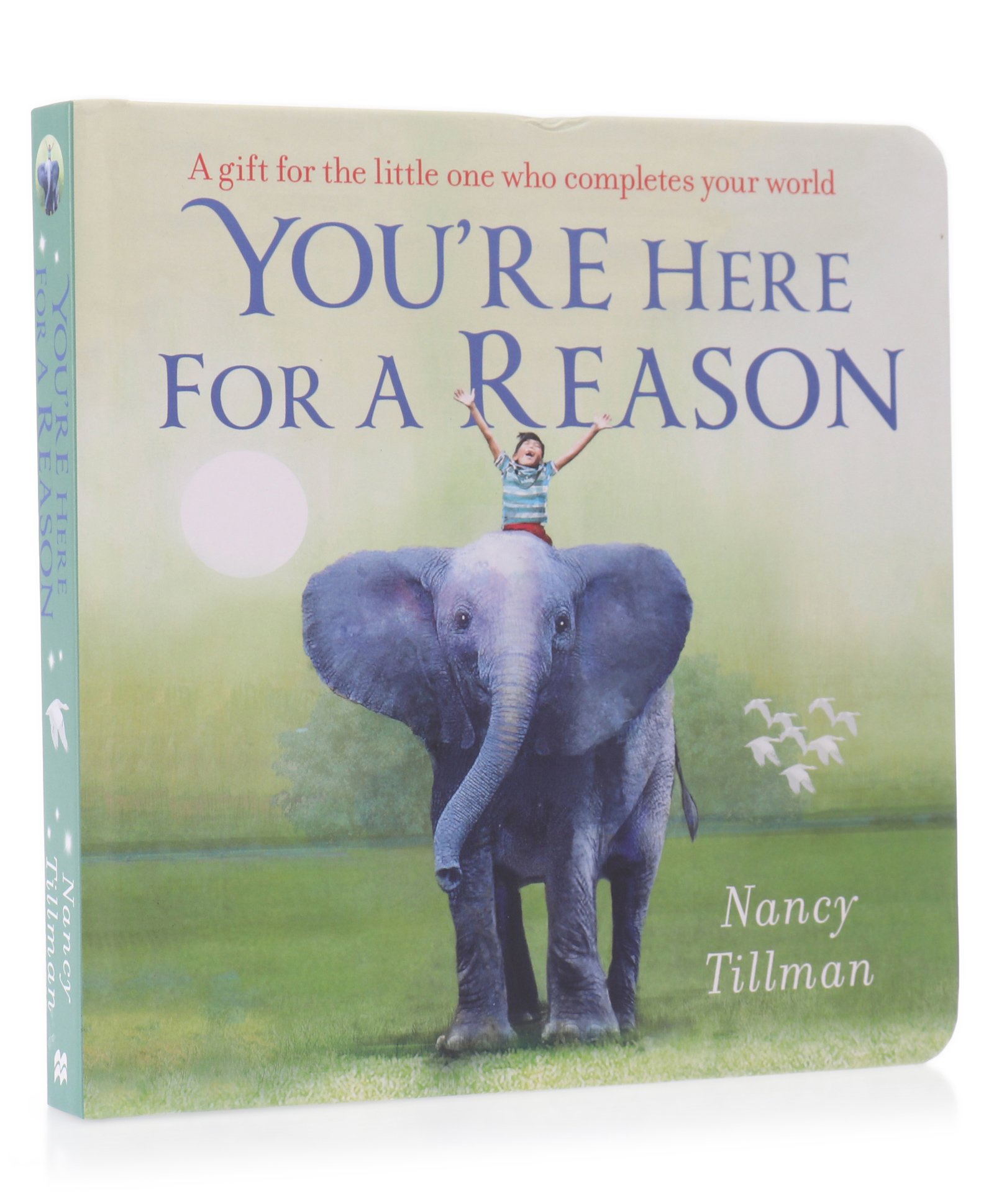 You're Here for a Reason Board Book - English-image-34