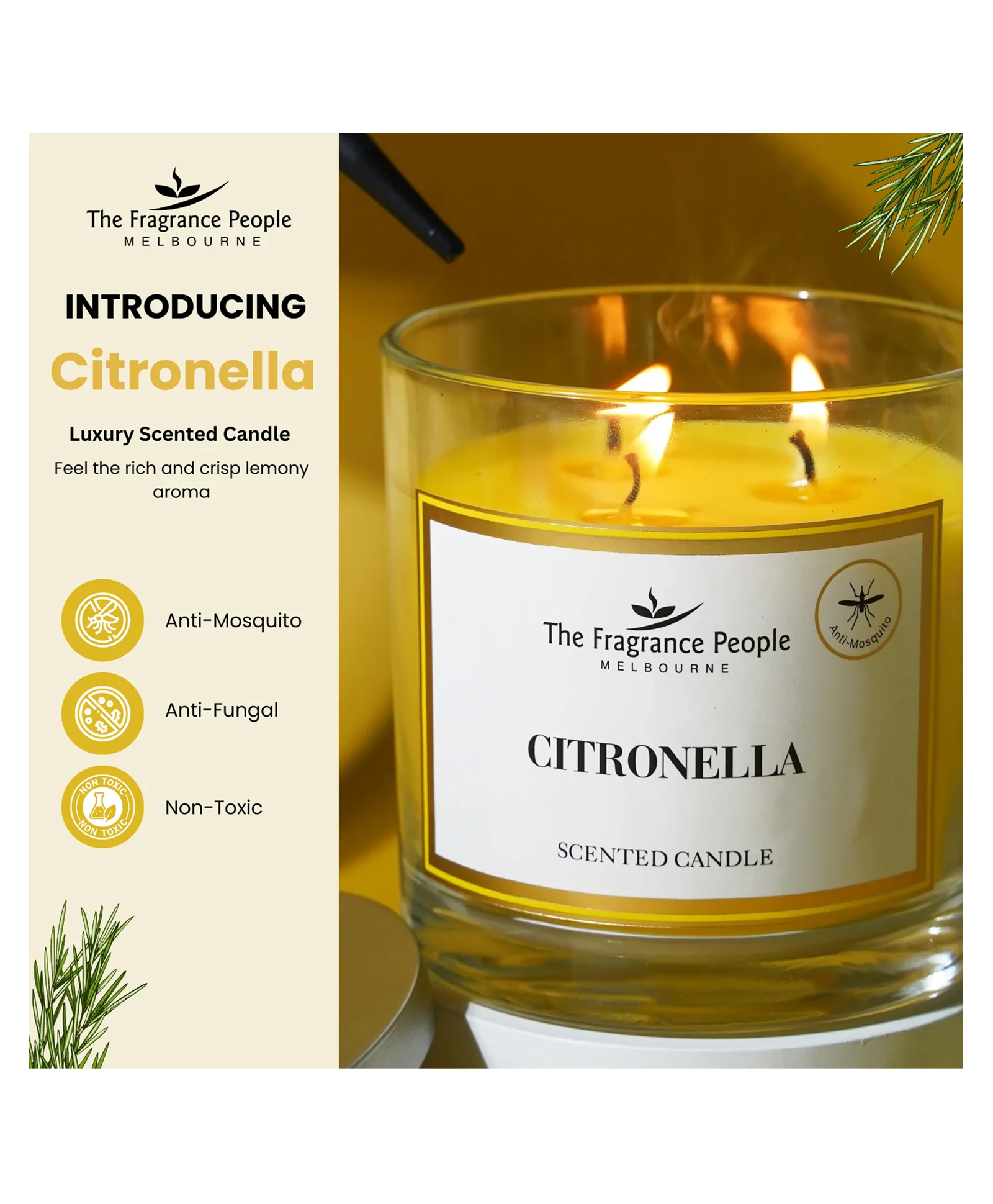 The Fragrance People Citronella 3-Wick Scented Candle - 340g