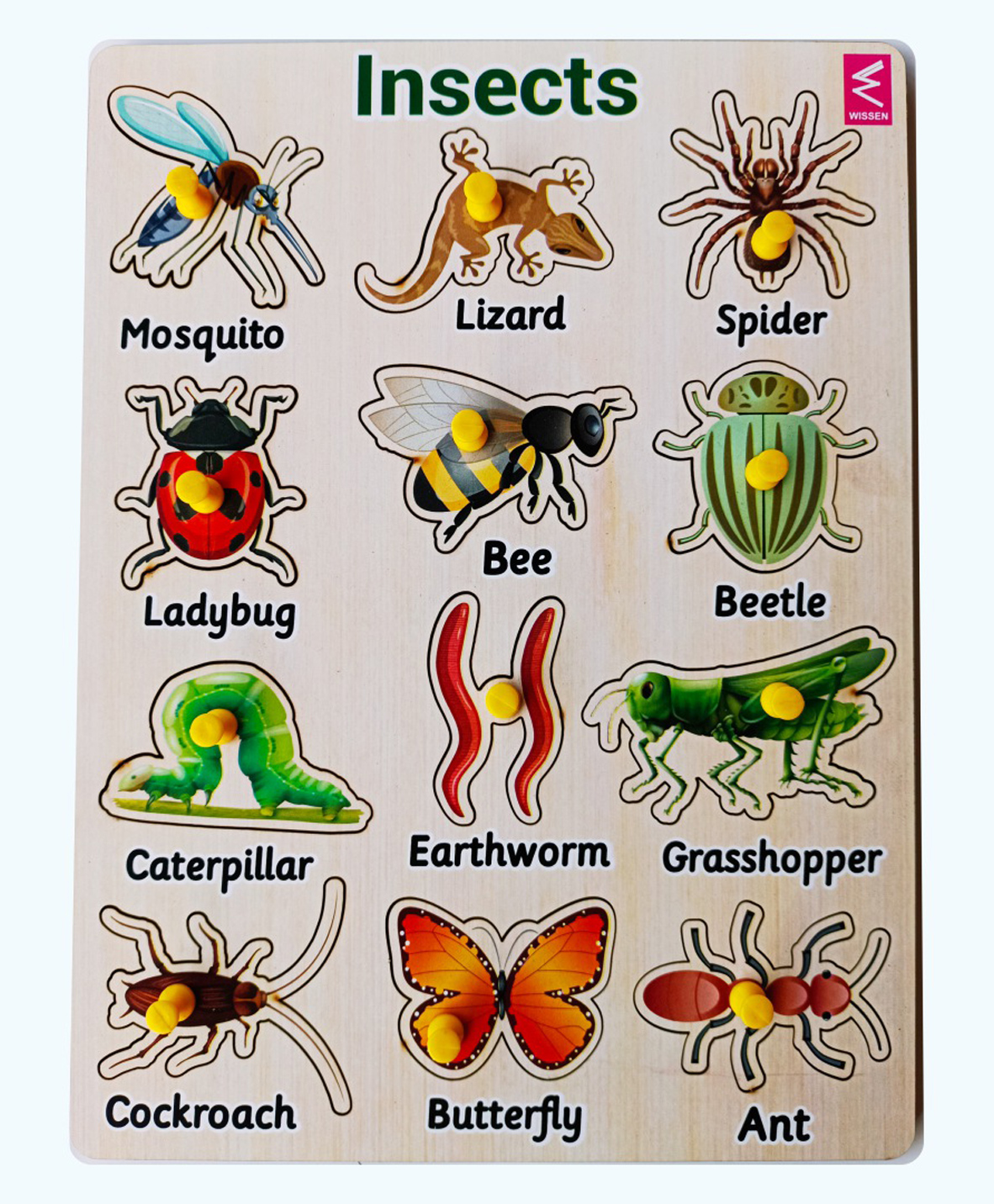 wissen Wooden Hide and See Insect learning peg board Puzzle - 12 Pieces-picture-26