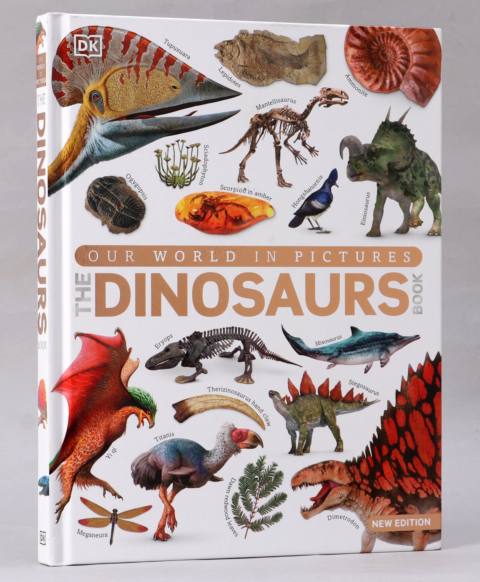 penguin random house Our World in Pictures The Dinosaur Book - English-picture-34