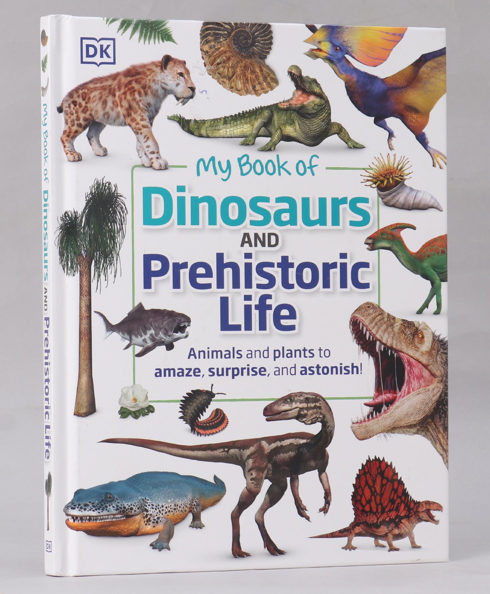 penguin random house My Book of Dinosaurs and Prehistoric Life Book - English-picture-26