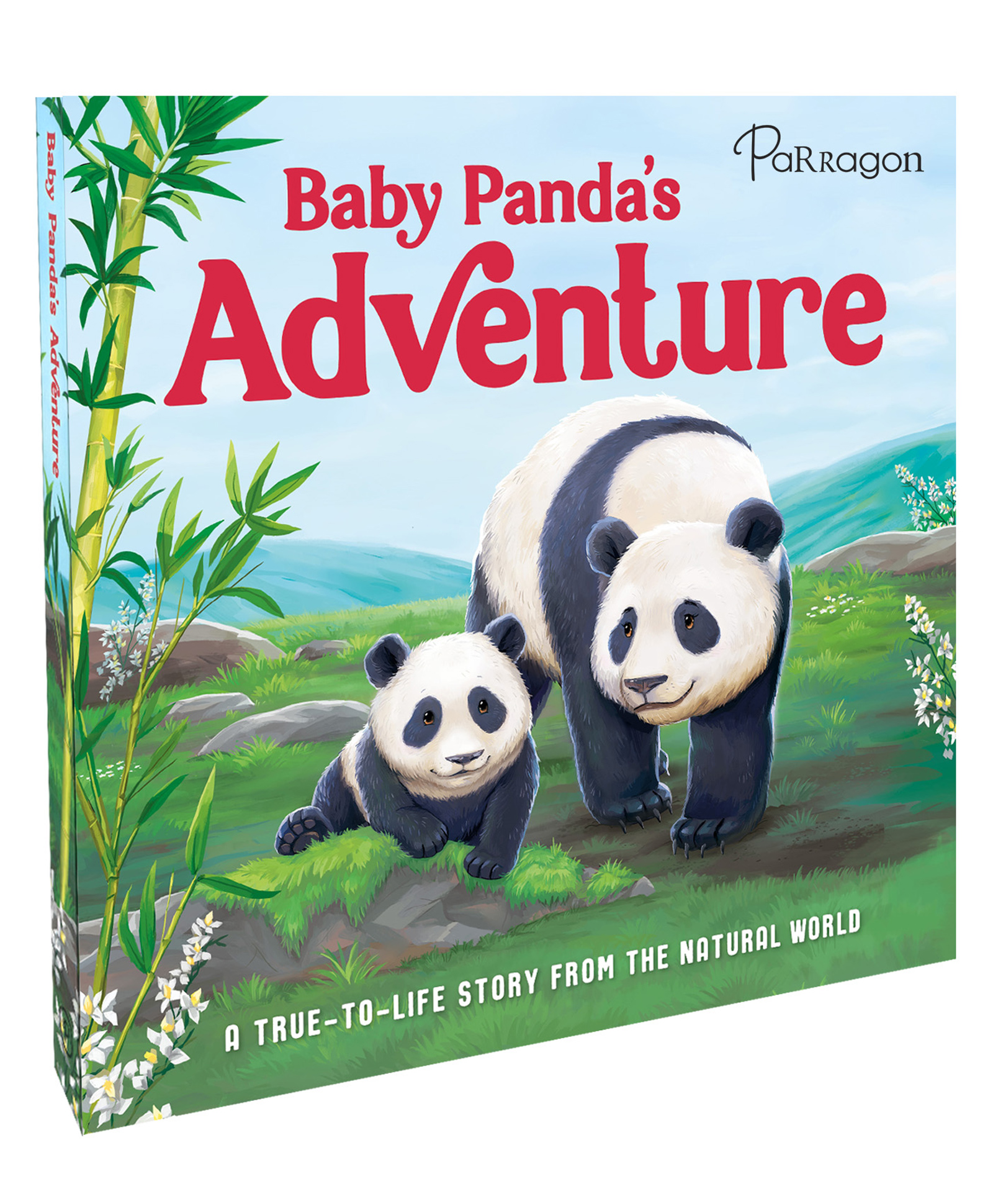 Baby Panda's Adventure | A True-to-Life Story From the Natural World | Story Book | Board Book for Kids-image-4