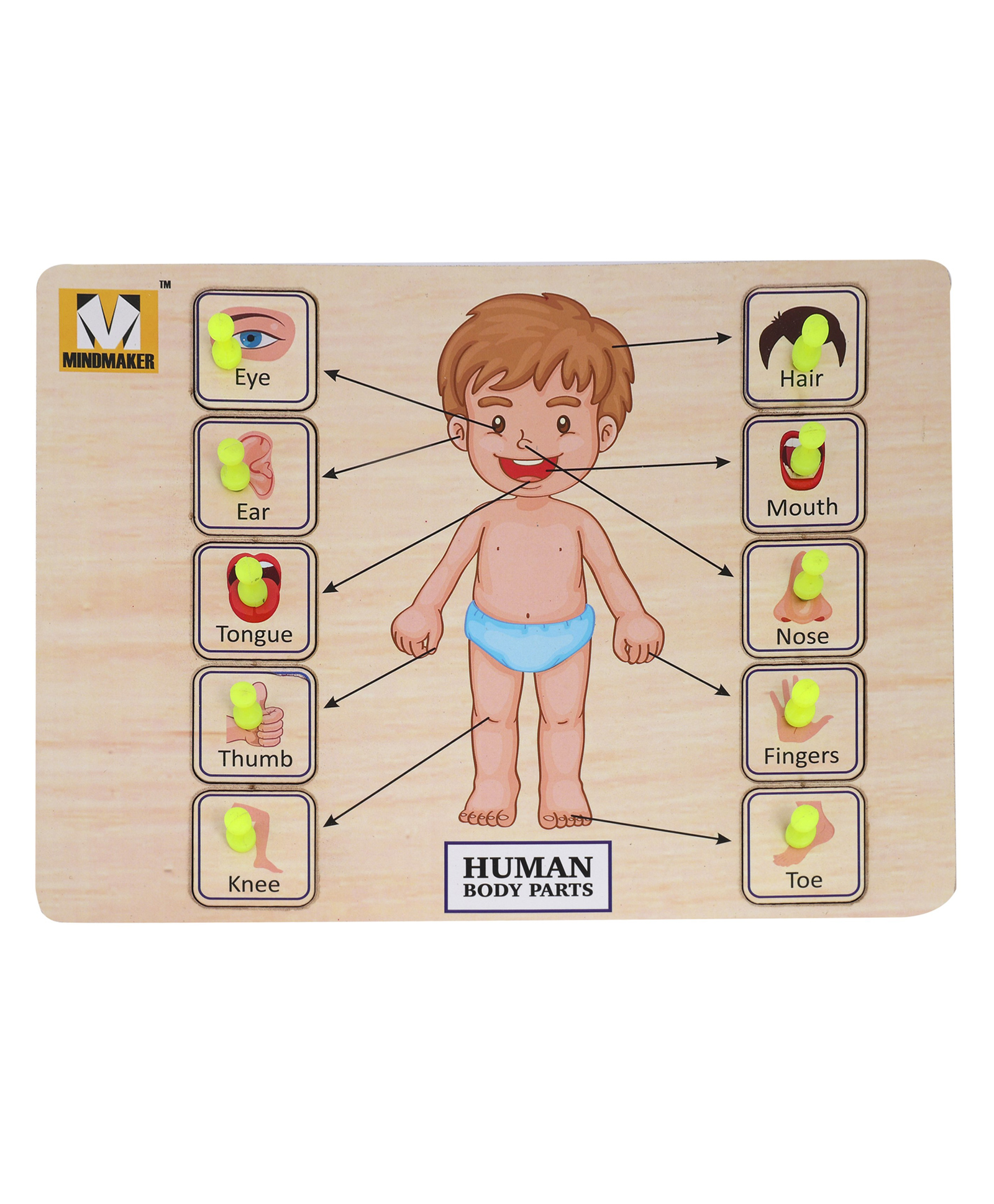 MINDMAKER - Wooden Puzzle with Knobs Educational and Learning Toy for Kids (Body Parts) 10 Pieces-picture-14