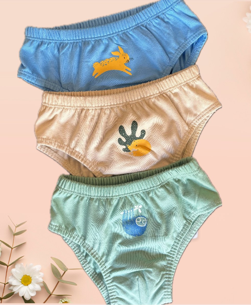 Ooka Baby Pack Of 3 Premium Cotton Rabbit & Fox Print Briefs - Blue Green & Beige-image-2
