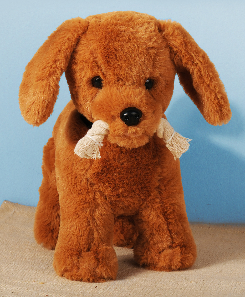 Dukiekooky Cute & Adorable Brown Cute Husky Soft Plush Toys Height - 25 cm-picture-12