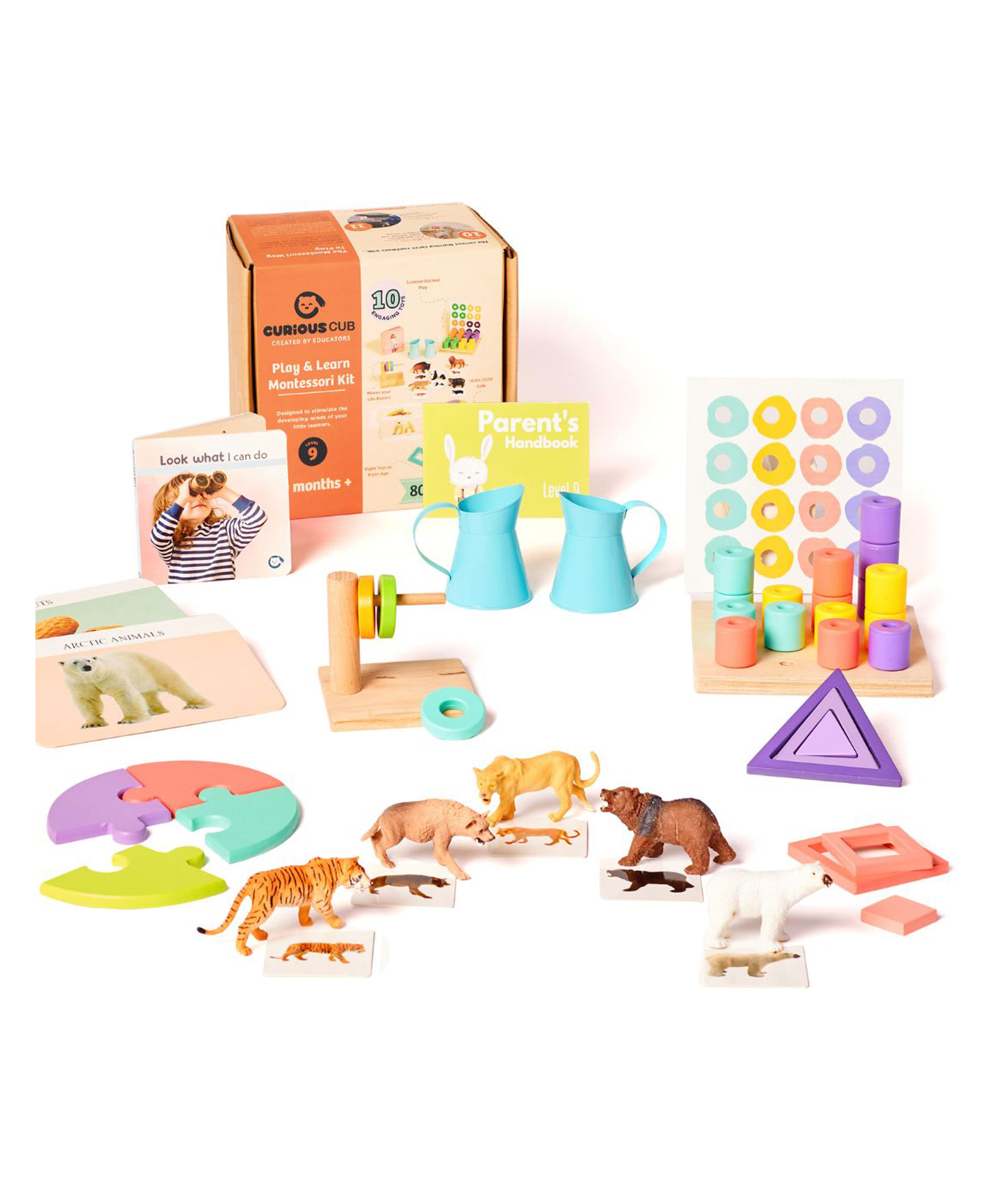 Curious Cub Montessori Learning Wooden Toys Box of 10 - Multicolour-picture-48